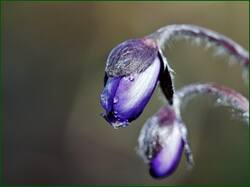 0_13dd9e_4757b300_orig.jpg