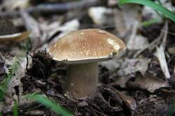 0_143e68_50e19291_orig.jpg