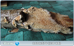 0_11f103_611799f6_orig.png