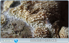 0_11f10b_69fc7275_orig.png
