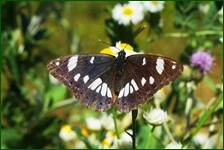 0_fd1f6_412cc697_orig.jpg