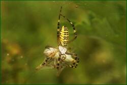 0_fdd82_5cc105e5_orig.jpg