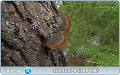 0_123d99_55c0ac82_orig.png