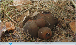 0_1260d0_c784212e_orig.png
