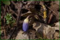0_f4861_5b874516_orig.jpg