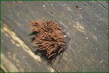 0_fe132_9f3402a0_orig.jpg