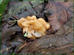 0_13cab7_657989d6_orig.jpg