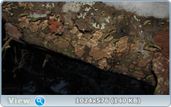 0_11cd1a_5c315222_orig.png