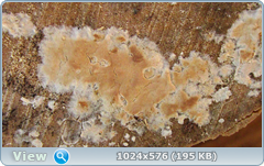 0_12097c_7205d279_orig.png