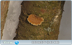 0_12098a_60376cb_orig.png