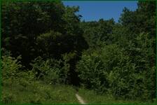 0_fc76c_94d57224_orig.jpg