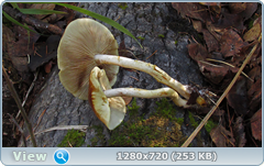 0_f3820_846078e0_orig.png