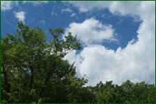 0_fc76e_86b6cf69_orig.jpg