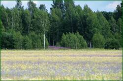 0_14749f_471ac8a8_orig.jpg