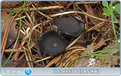0_11e4fd_900a3305_orig.png