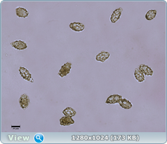 0_12a14b_1d9bc2fd_orig.png