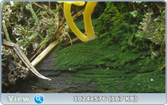 0_127f2b_a98b7be5_orig.png