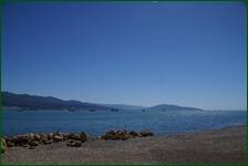 0_f619b_51b68748_orig.jpg