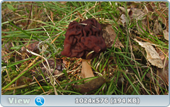 0_12644c_cf85d247_orig.png
