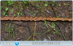 0_12aba7_b4cf8504_orig.png