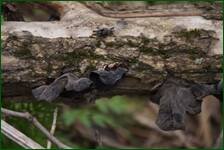0_f5ab6_31d86251_orig.jpg
