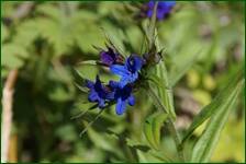 0_f62a6_28bcbce8_orig.jpg