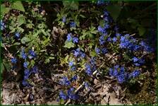 0_f62c0_72ad12c2_orig.jpg