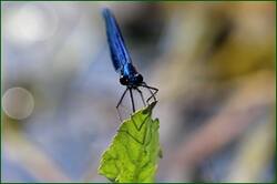 0_14936c_8ae59787_orig.jpg