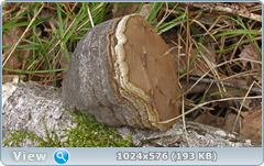 0_123d93_ac6ac242_orig.png