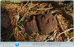 0_1255bb_652c22e7_orig.png