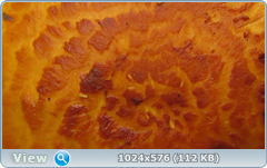 0_12c19a_80d9f976_orig.png