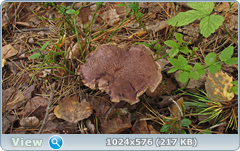 0_11cc07_58baeec8_orig.png