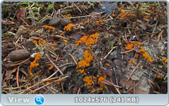 0_1260fe_37e0fd16_orig.png