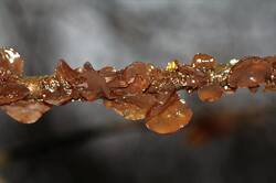 0_1546e0_c7db6a18_orig.jpg