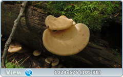 0_12ab6b_2a2ba65b_orig.png