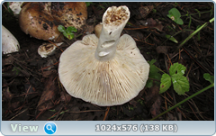 0_12b992_7d55bbed_orig.png