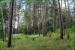 0_14748d_b8e5ca51_orig.jpg