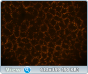 0_11e510_c62cdc0f_orig.png