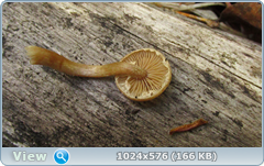 0_127f05_679f572_orig.png