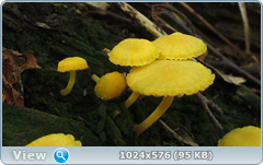 0_127f35_db15d8e0_orig.png
