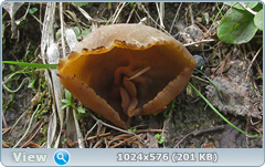 0_127f3f_e96237a_orig.png