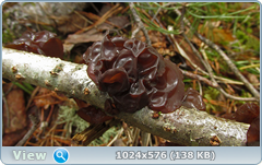 0_1276ba_7d19d0f6_orig.png