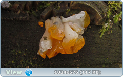 0_1276cc_b1e7ef44_orig.png