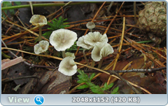 0_12ab1c_94955260_orig.png