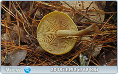 0_12ab23_1e714145_orig.png