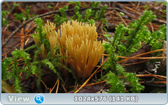 0_12aff8_fc642e29_orig.png