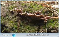 0_12b008_d4a5194b_orig.png