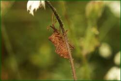 0_fdd46_f47743c9_orig.jpg
