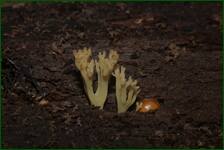 0_fe10c_bb05897a_orig.jpg