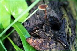 0_144d99_3dc07e83_orig.jpg